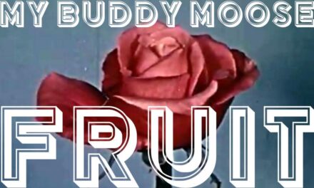 My Buddy Moose skinuli drugi singl s novog albuma “Into The Grey”